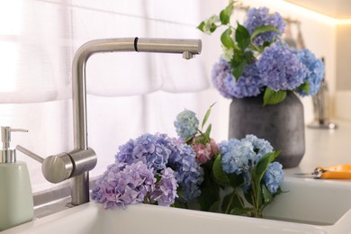 Photo of Bouquets of beautiful blue hortensia flowers in kitchen, closeup
