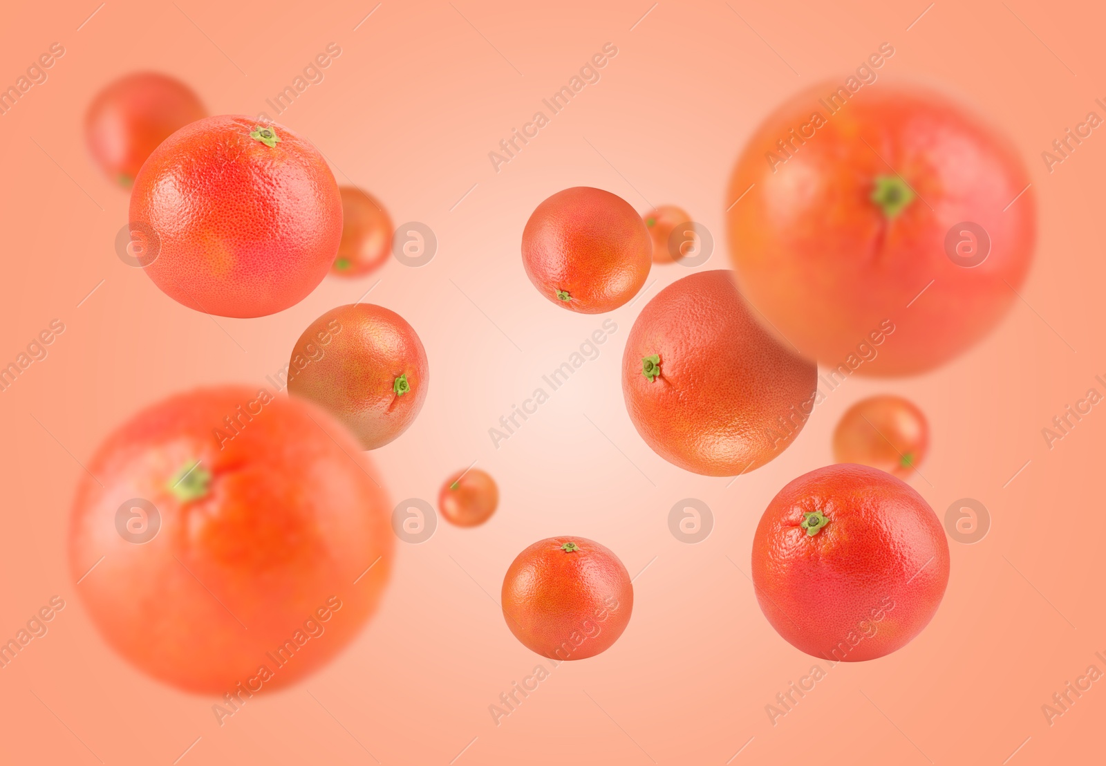 Fresh grapefruits swirling in air against coral background Image of Fresh grapefruits swirling in air against coral background