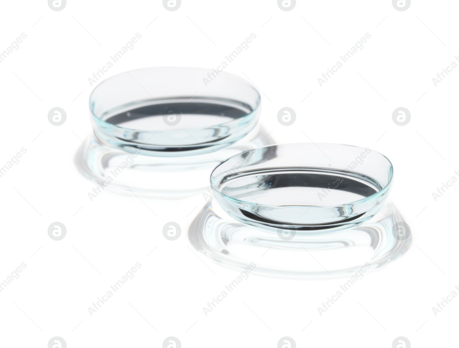 Pair of contact lenses isolated on white Photo of Pair of contact lenses isolated on white