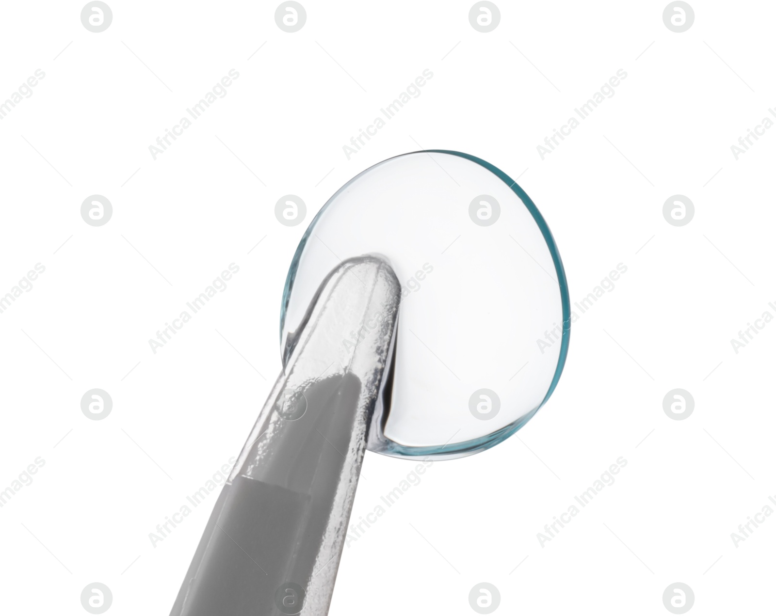 Tweezers with contact lens isolated on white Photo of Tweezers with contact lens isolated on white