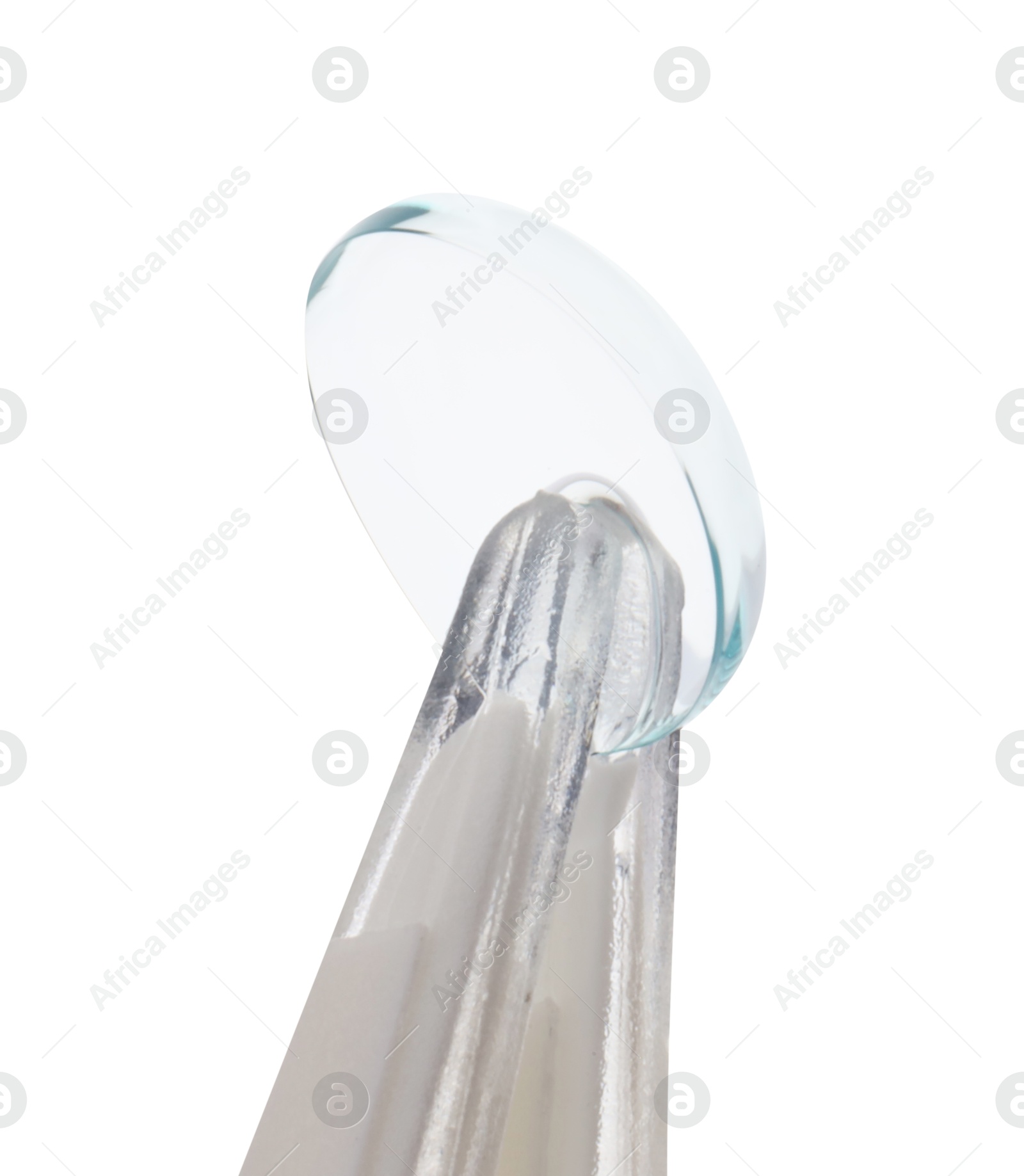 Tweezers with contact lens isolated on white Photo of Tweezers with contact lens isolated on white
