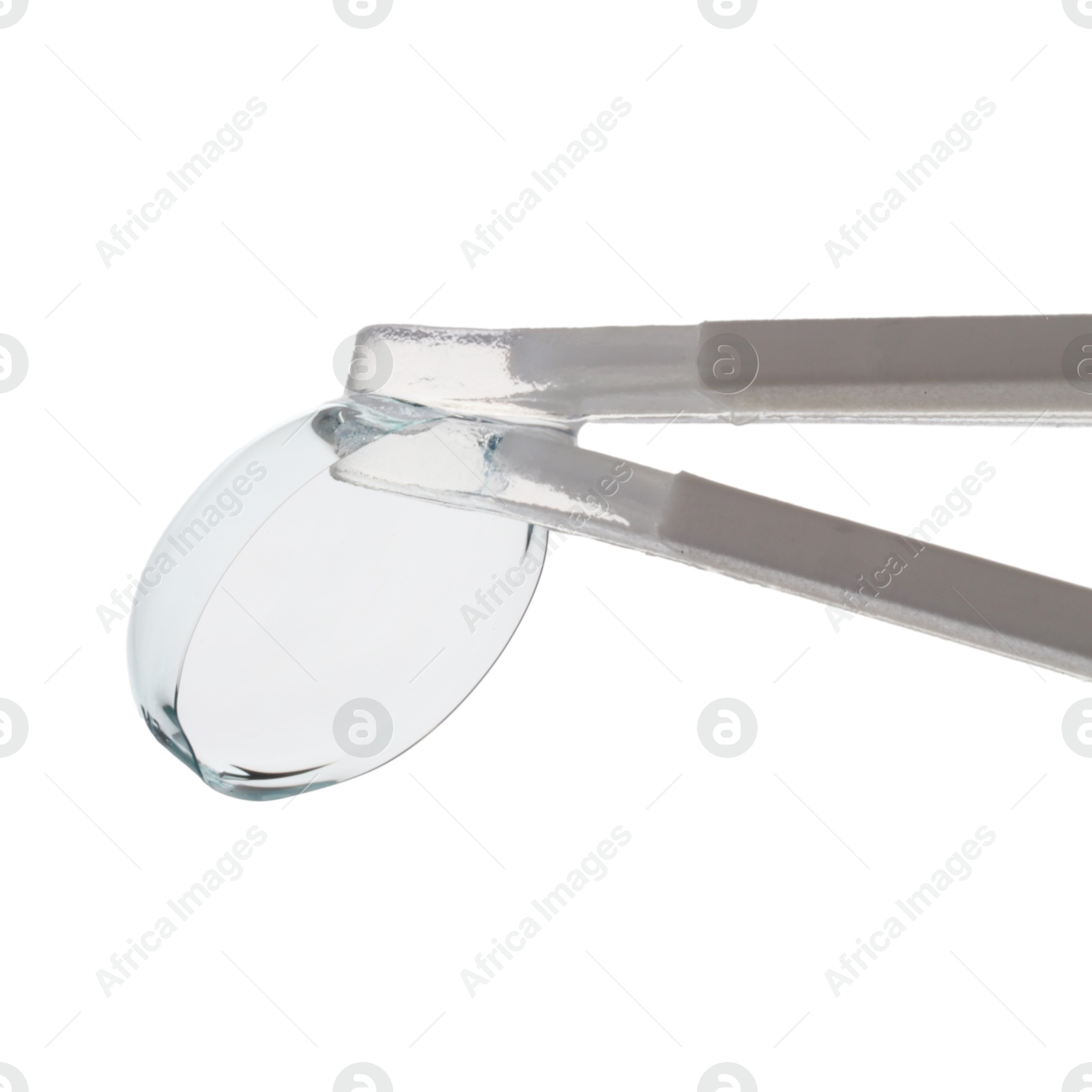 Tweezers with contact lens isolated on white Photo of Tweezers with contact lens isolated on white