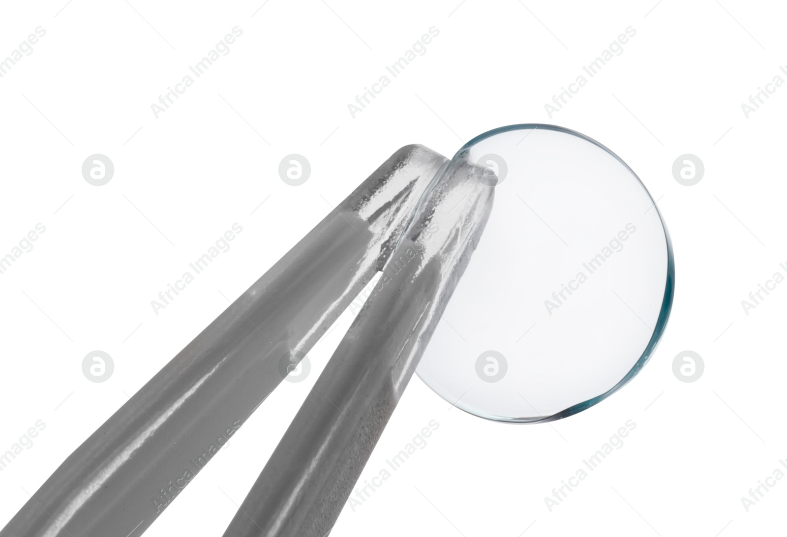 Tweezers with contact lens isolated on white Photo of Tweezers with contact lens isolated on white