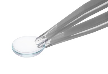 Photo of Tweezers with contact lens isolated on white