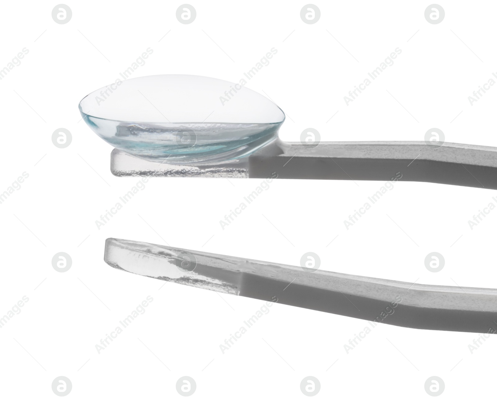 Tweezers with contact lens isolated on white Photo of Tweezers with contact lens isolated on white