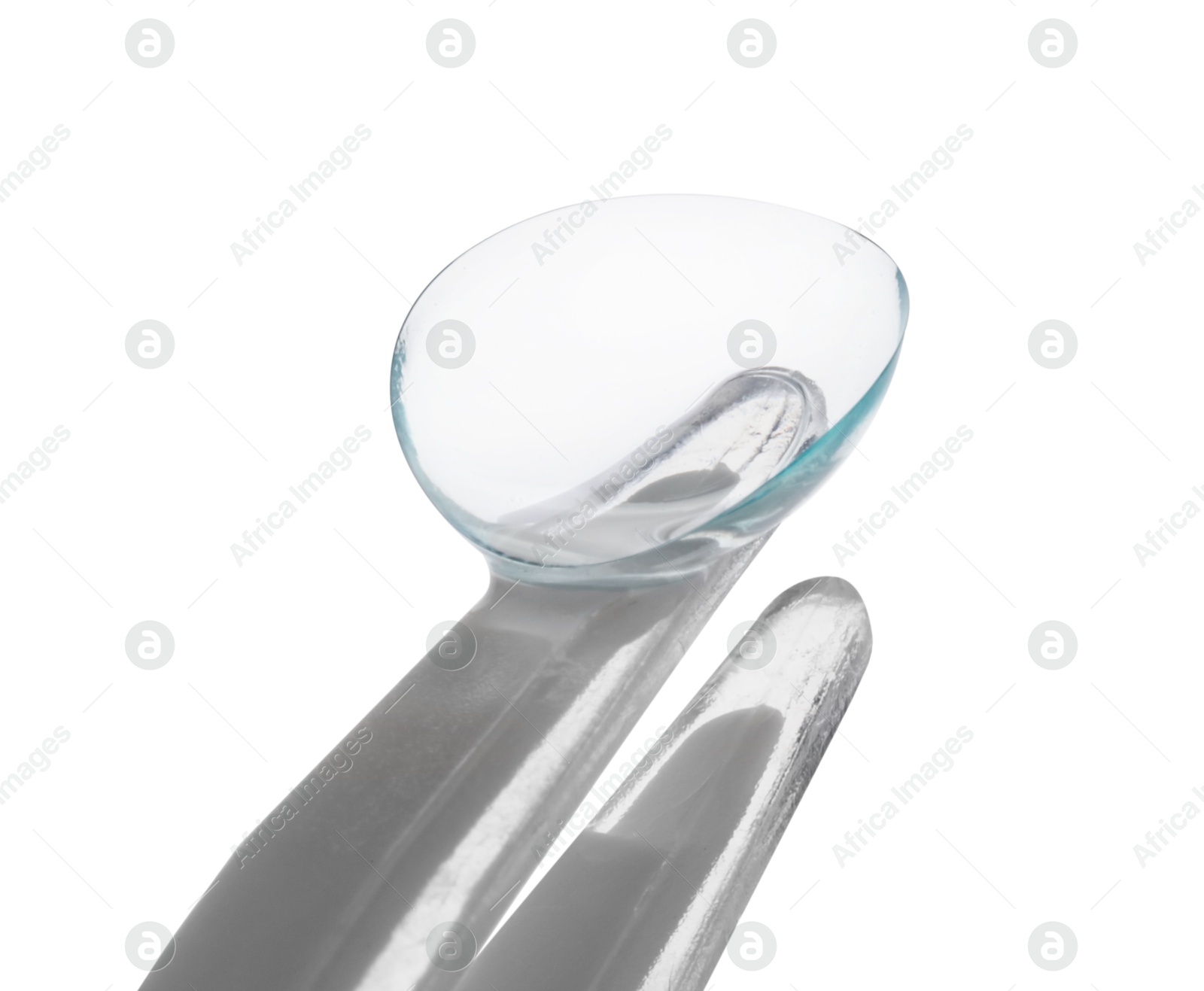 Tweezers with contact lens isolated on white Photo of Tweezers with contact lens isolated on white