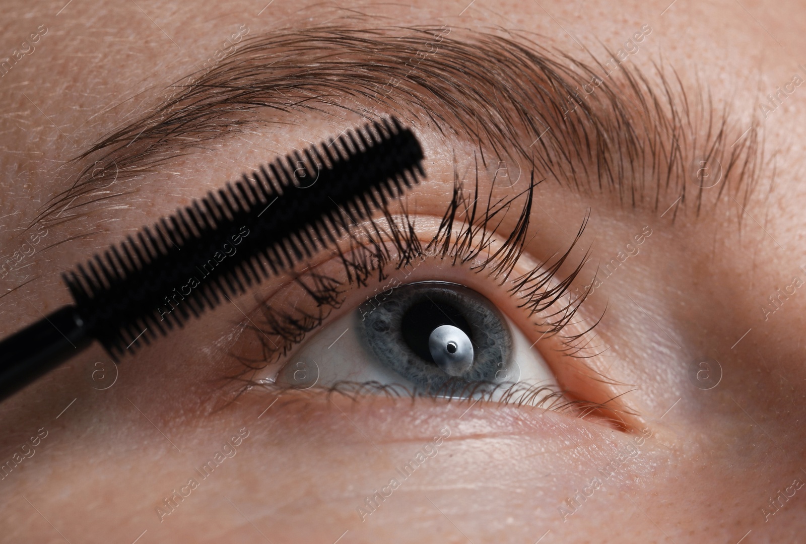 Young woman applying mascara onto her eyelashes, closeup Photo of Young woman applying mascara onto her eyelashes, closeup
