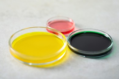 Photo of Petri dishes with different samples on light grey table, closeup. Solution chemistry