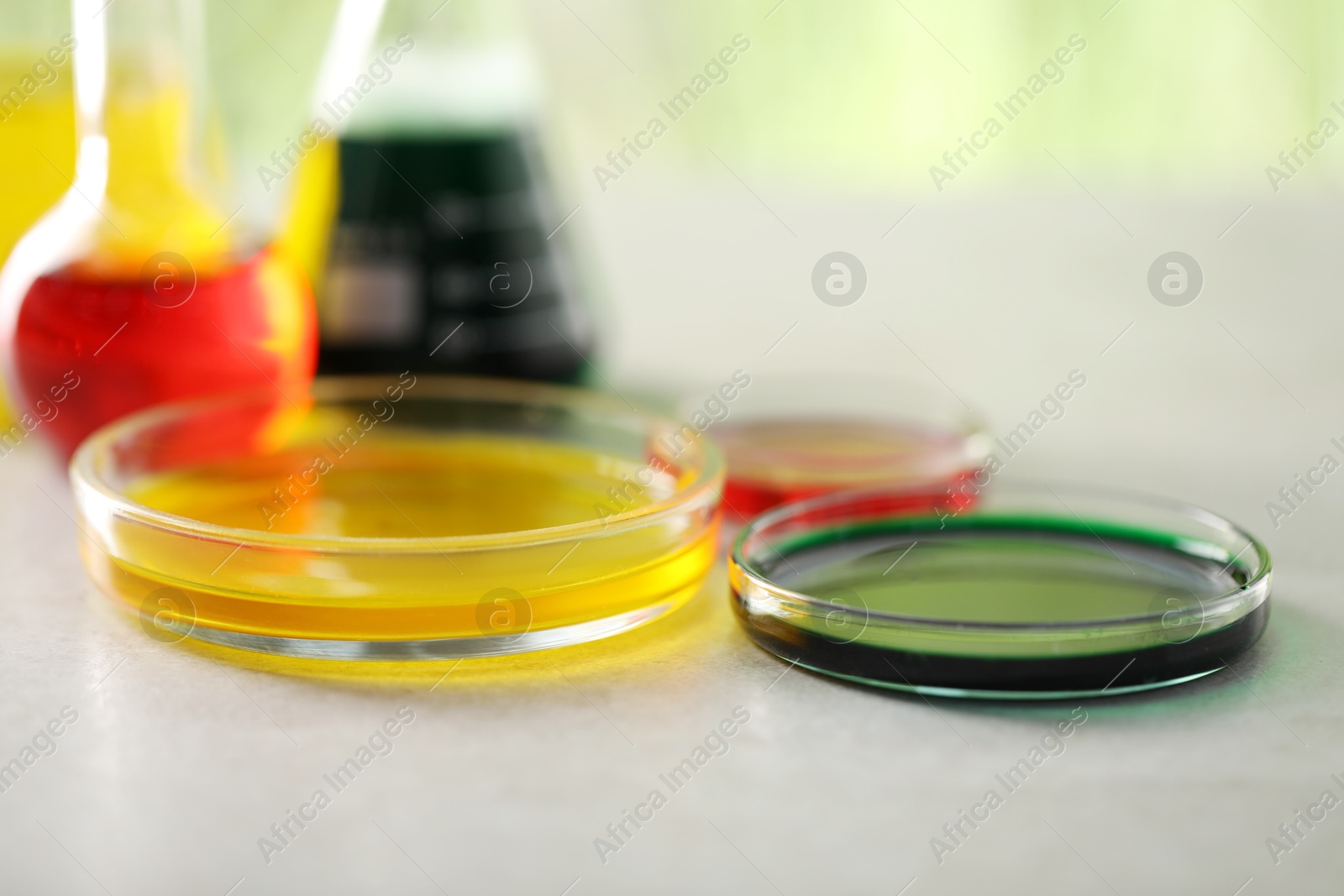 Photo of Laboratory glassware with different samples on light grey table, closeup. Solution chemistry