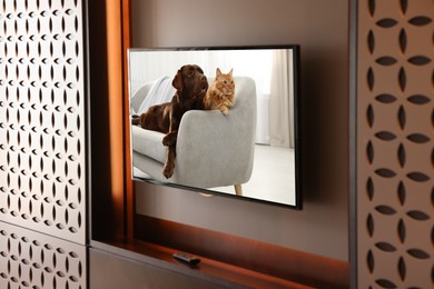 Image of TV set with cat and dog on screen in room