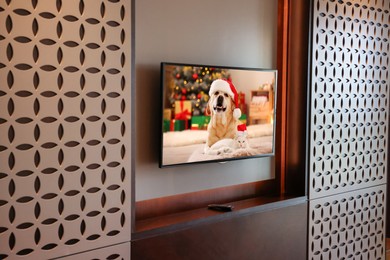 Image of TV set with dog in Santa hat and cat on screen in room