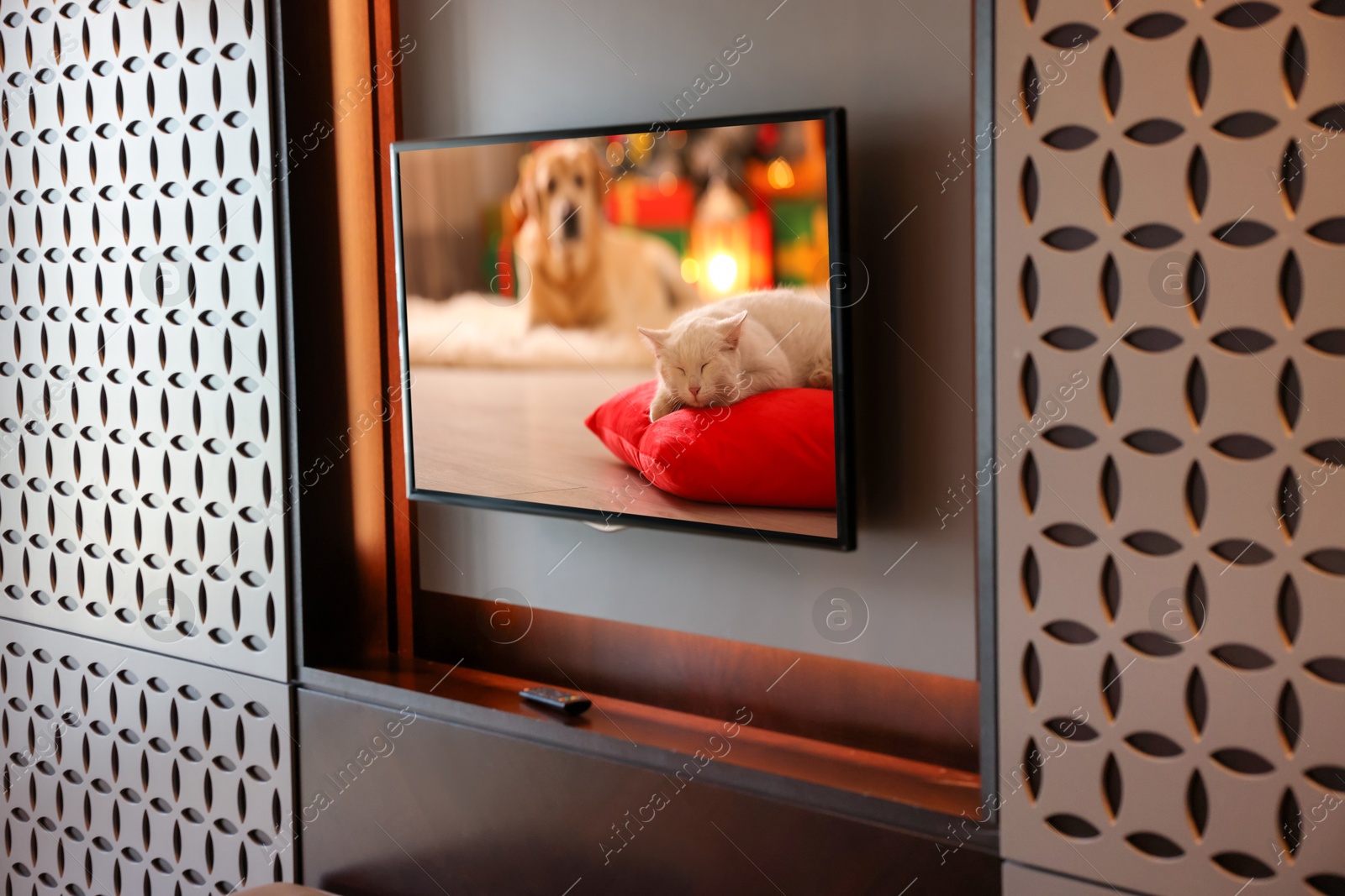 Image of TV set with cat and dog on screen in room