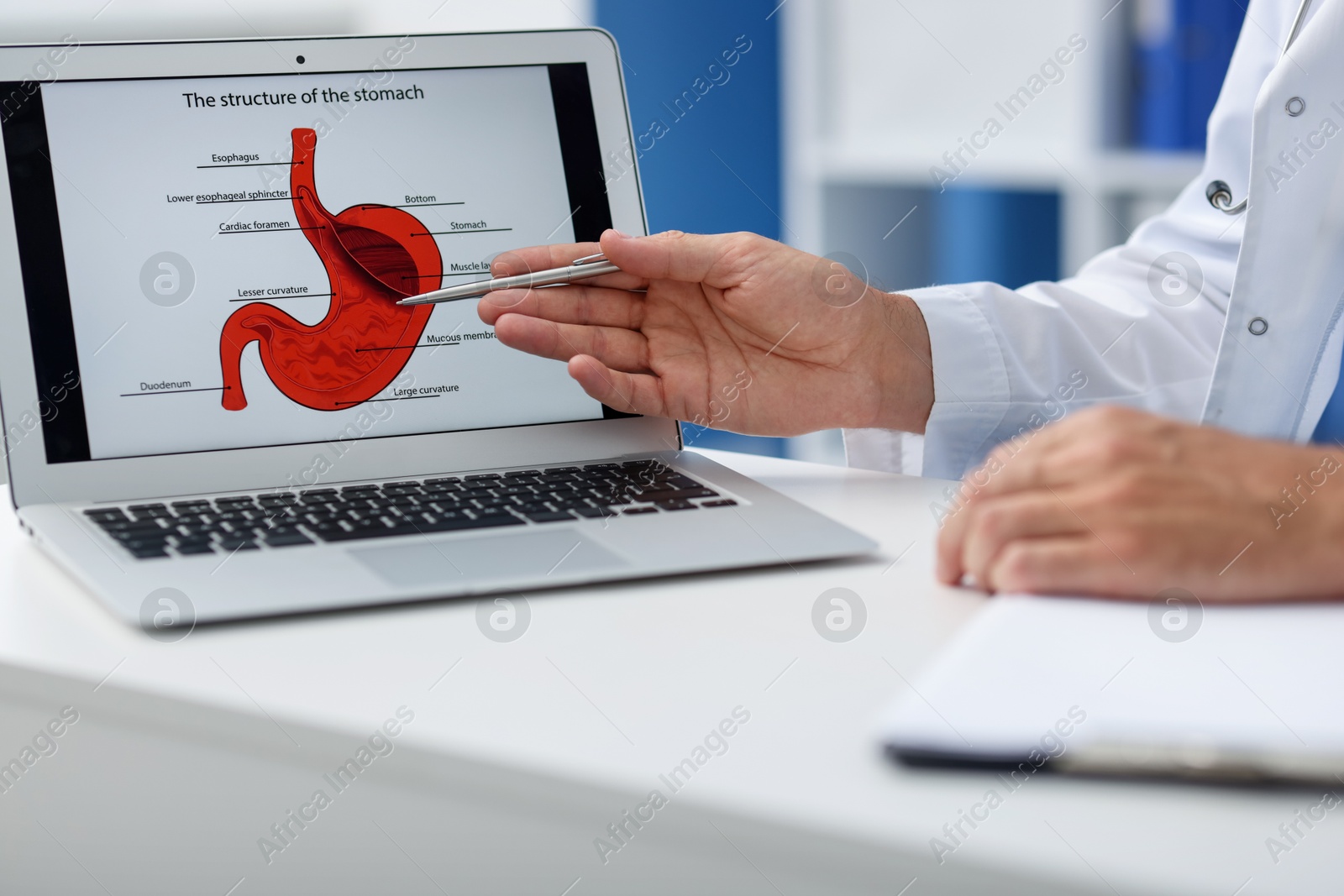 Gastroenterologist showing screen with illustration of stomach at white table in clinic, closeup Photo of Gastroenterologist showing screen with illustration of stomach at white table in clinic, closeup