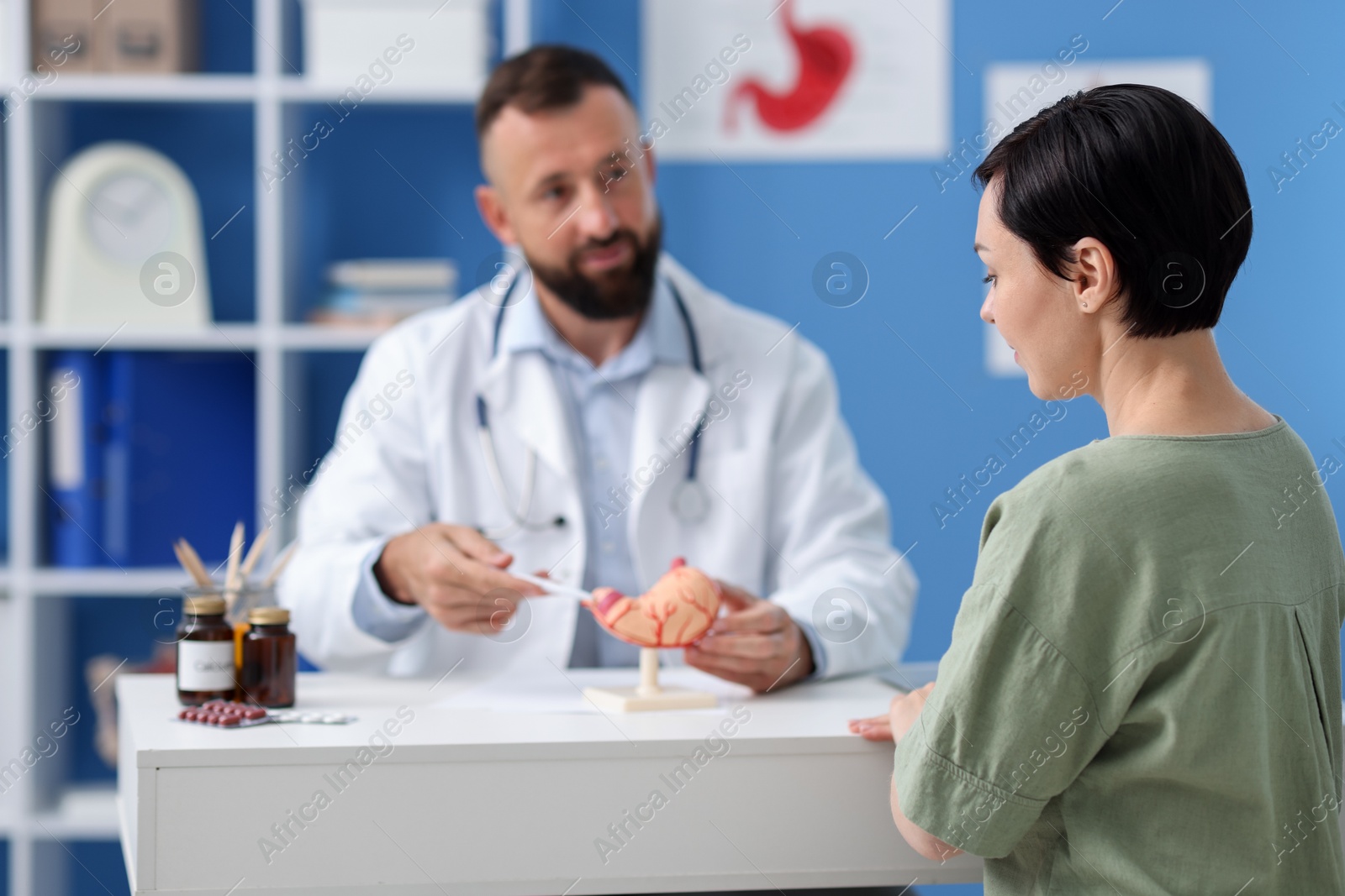 Gastroenterologist with model of stomach consulting woman in clinic, selective focus Photo of Gastroenterologist with model of stomach consulting woman in clinic, selective focus