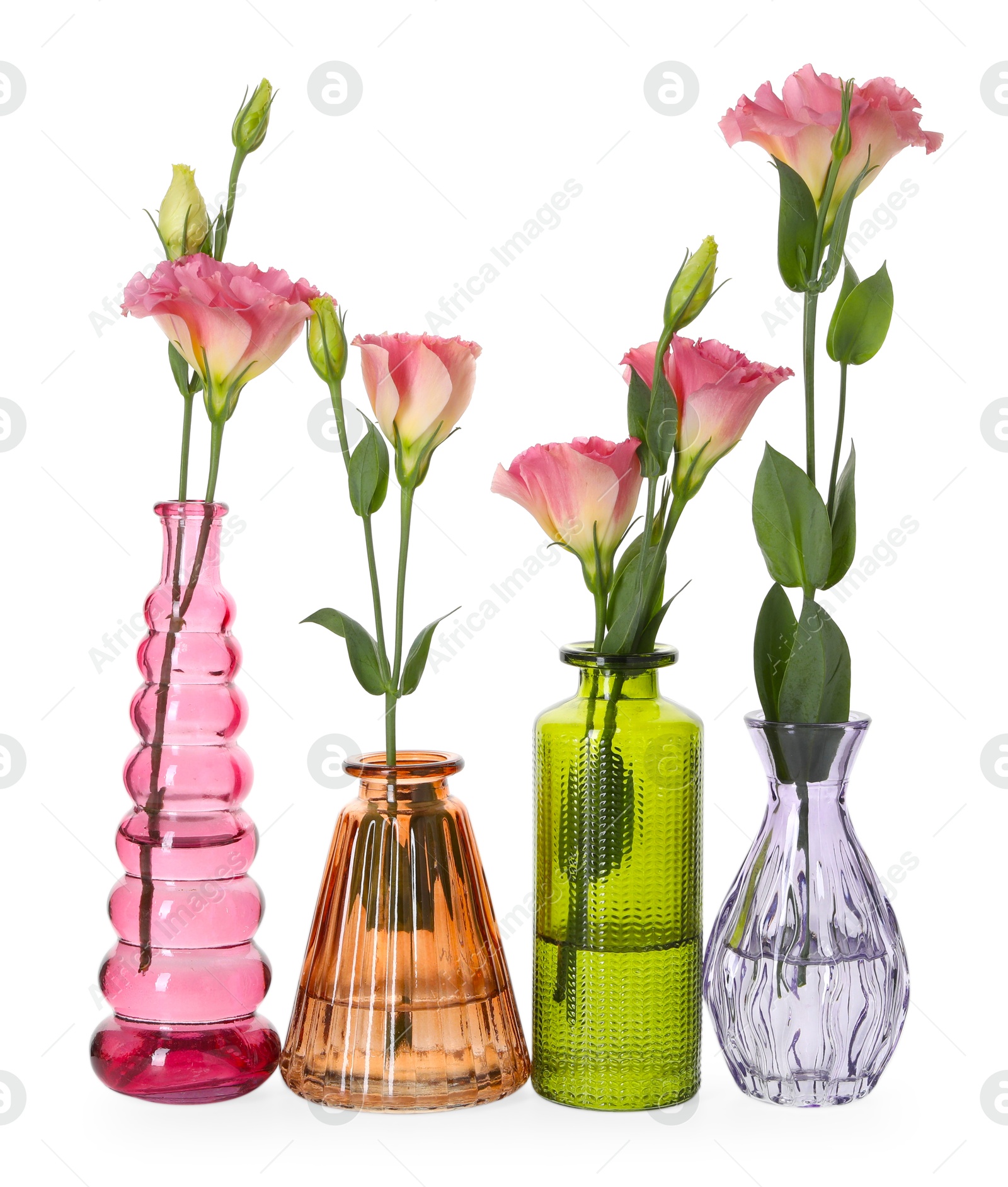 Beautiful eustoma flowers in glass vases isolated on white Photo of Beautiful eustoma flowers in glass vases isolated on white
