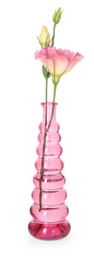 Photo of Beautiful eustoma flowers in glass vase isolated on white