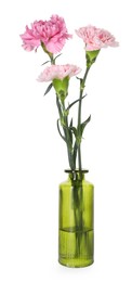 Photo of Beautiful carnation flowers in glass vase isolated on white