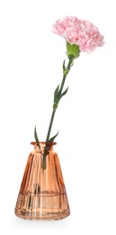 Photo of Beautiful carnation flower in glass vase isolated on white