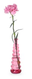 Photo of Beautiful carnation flower in glass vase isolated on white
