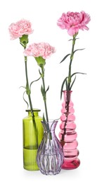 Photo of Beautiful carnation flowers in glass vases isolated on white
