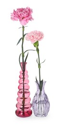 Photo of Beautiful carnation flowers in glass vases isolated on white