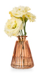 Photo of Beautiful eustoma flowers in glass vase isolated on white