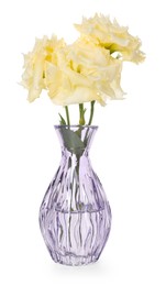 Photo of Beautiful eustoma flowers in glass vase isolated on white