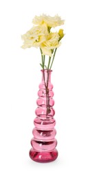 Photo of Beautiful eustoma flowers in glass vase isolated on white