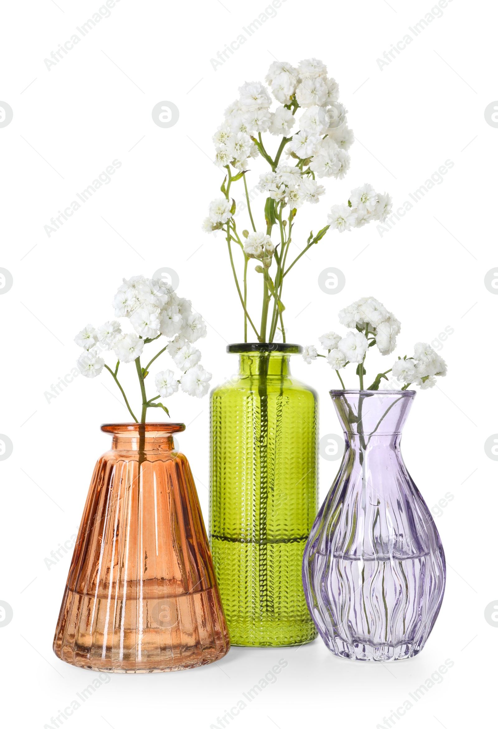 Photo of Beautiful gypsophila flowers in glass vases isolated on white