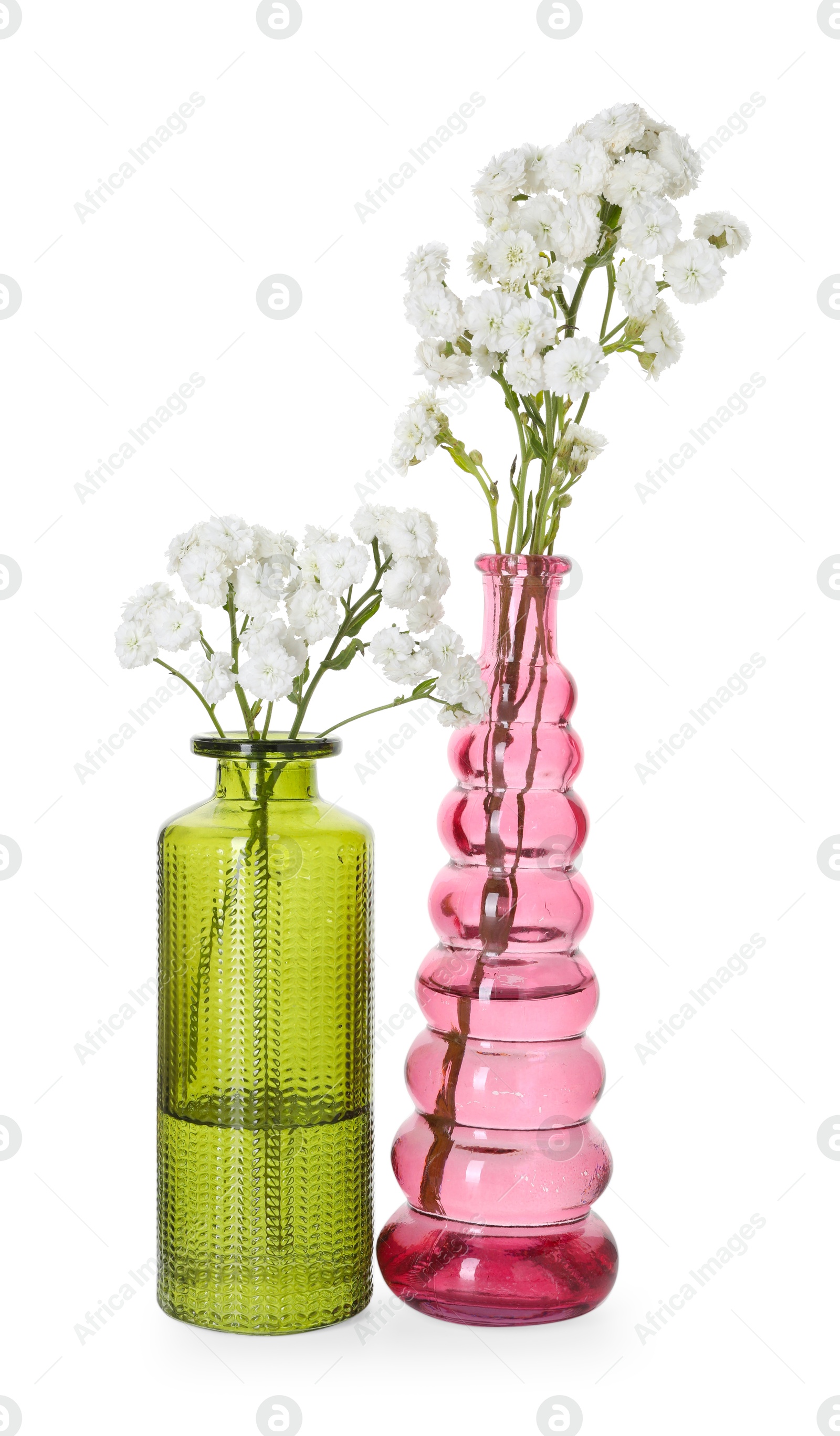 Photo of Beautiful gypsophila flowers in glass vases isolated on white