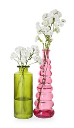 Photo of Beautiful gypsophila flowers in glass vases isolated on white