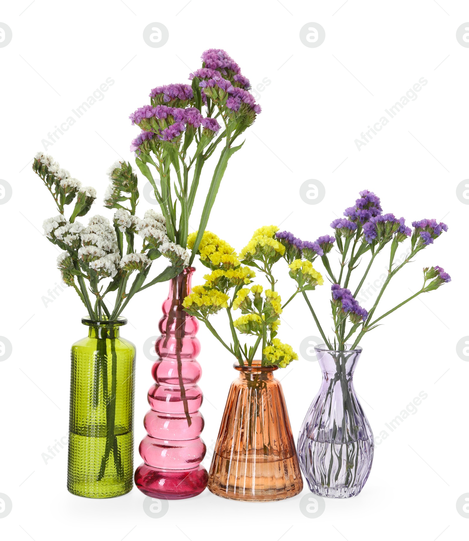 Photo of Different beautiful flowers in glass vases isolated on white