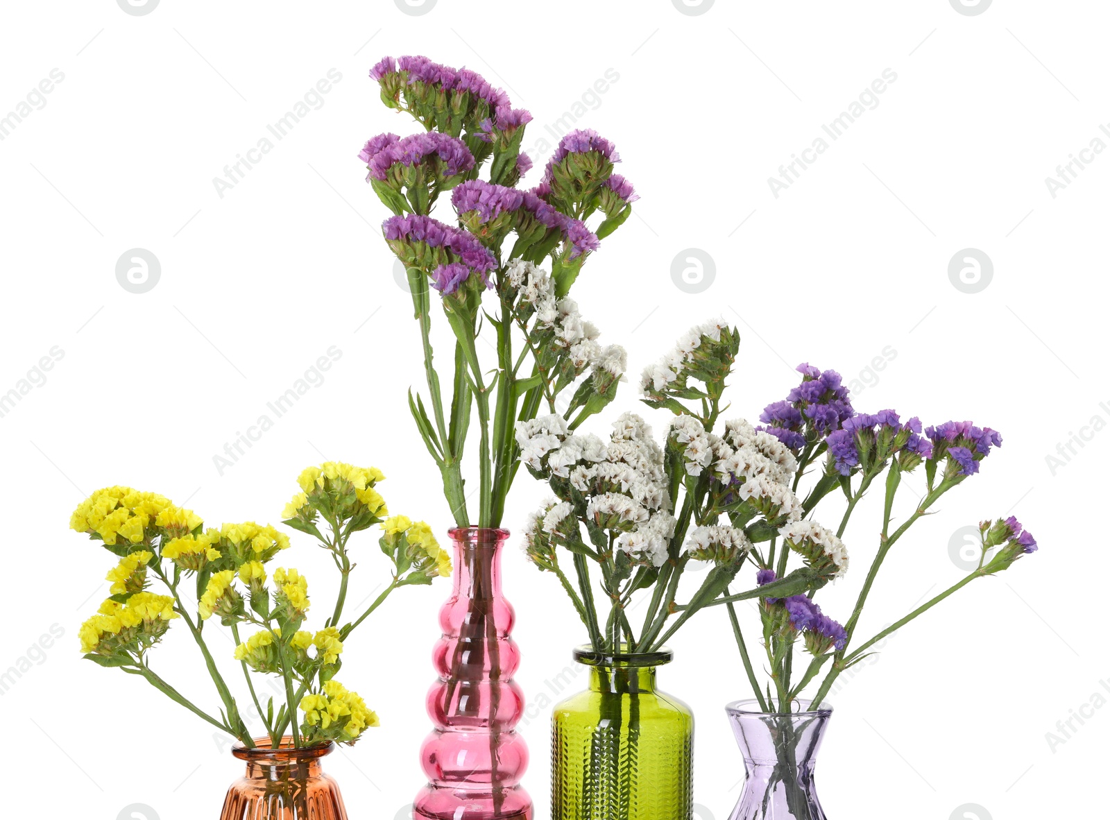 Photo of Different beautiful flowers in glass vases isolated on white