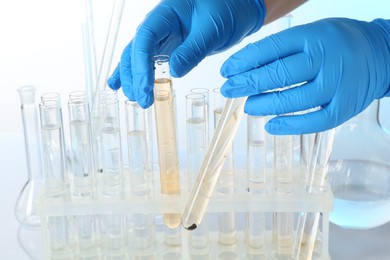 Photo of Examination of water quality. Scientist with test tubes of samples at table against light background, closeup