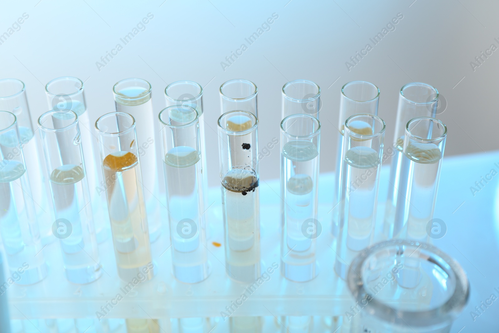 Glass test tubes with clean and dirty water on table, closeup Photo of Glass test tubes with clean and dirty water on table, closeup
