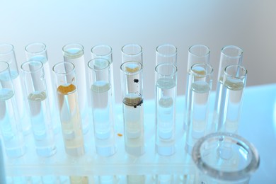 Photo of Glass test tubes with clean and dirty water on table, closeup