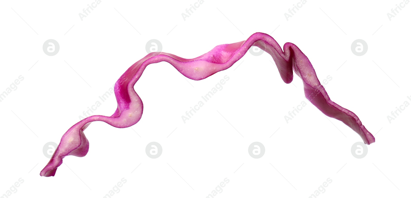 One slice of fresh red cabbage isolated on white Photo of One slice of fresh red cabbage isolated on white