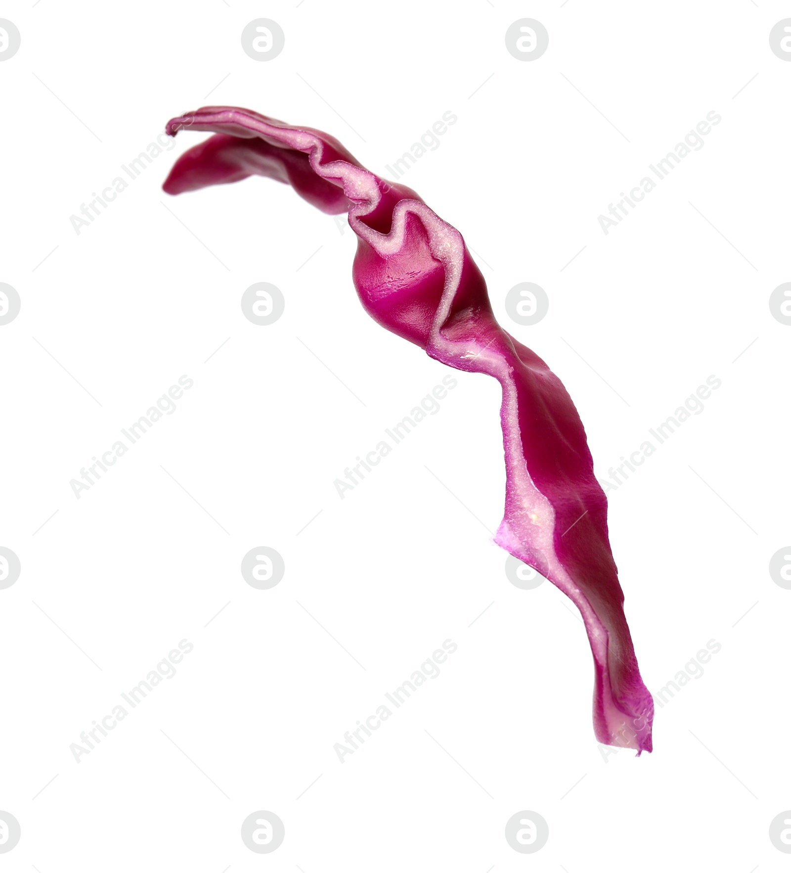 Photo of One slice of fresh red cabbage isolated on white