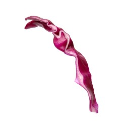 Photo of One slice of fresh red cabbage isolated on white