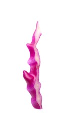 Photo of One slice of fresh red cabbage isolated on white