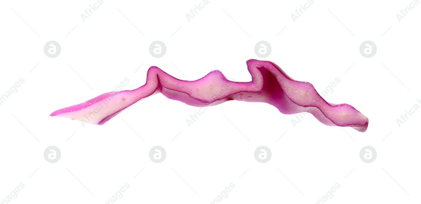 One slice of fresh red cabbage isolated on white Photo of One slice of fresh red cabbage isolated on white