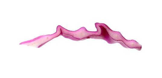 Photo of One slice of fresh red cabbage isolated on white