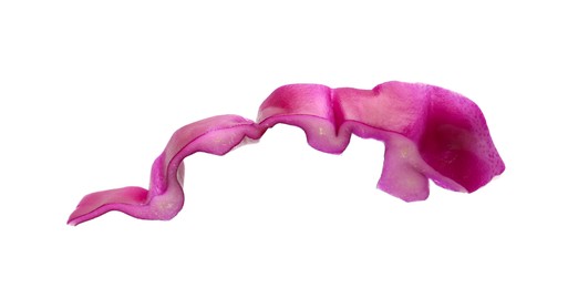 Photo of One slice of fresh red cabbage isolated on white