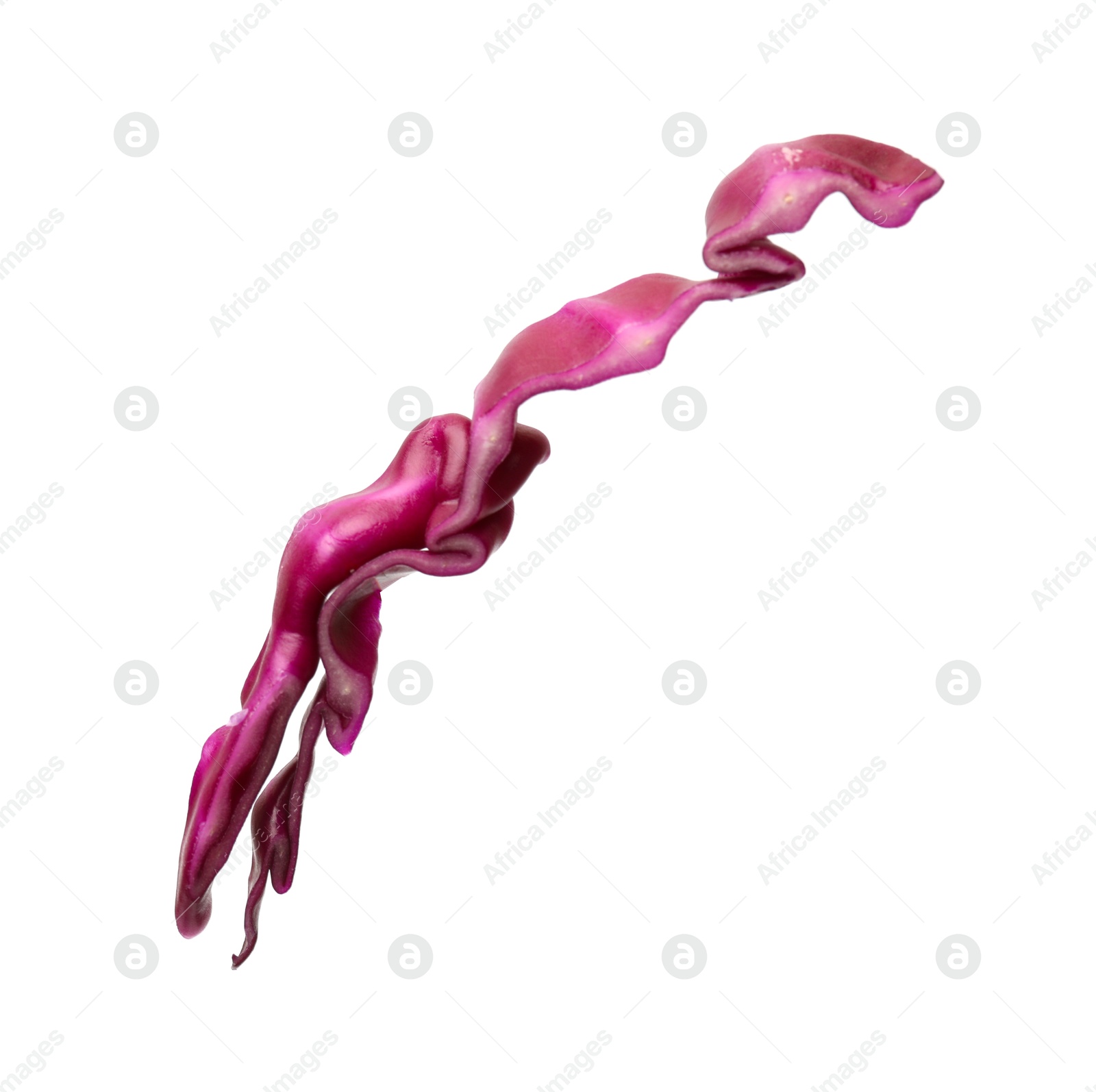 Photo of One slice of fresh red cabbage isolated on white