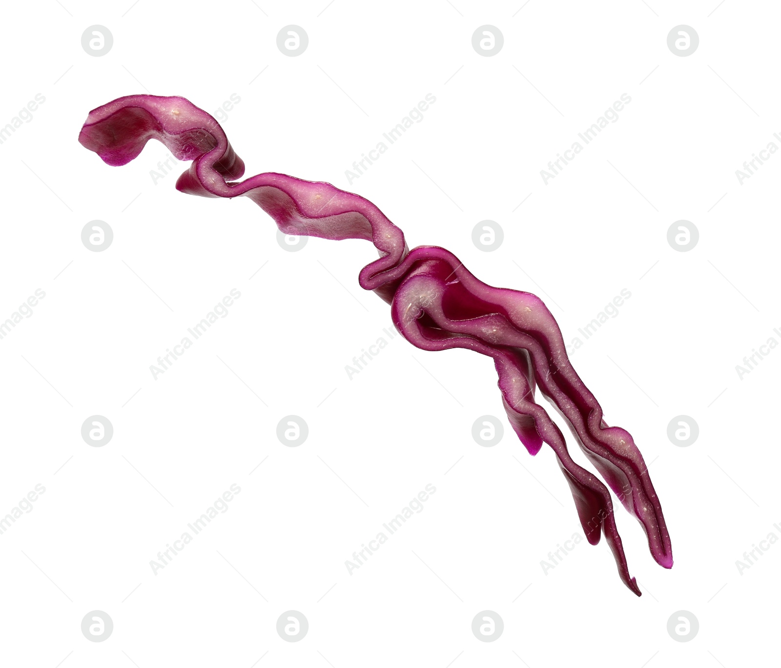 Photo of One slice of fresh red cabbage isolated on white