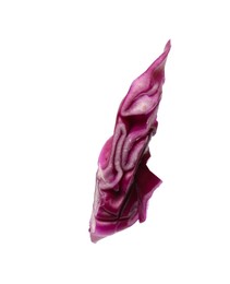 Photo of One slice of fresh red cabbage isolated on white