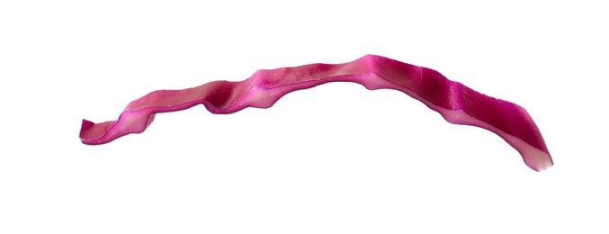 Photo of One slice of fresh red cabbage isolated on white