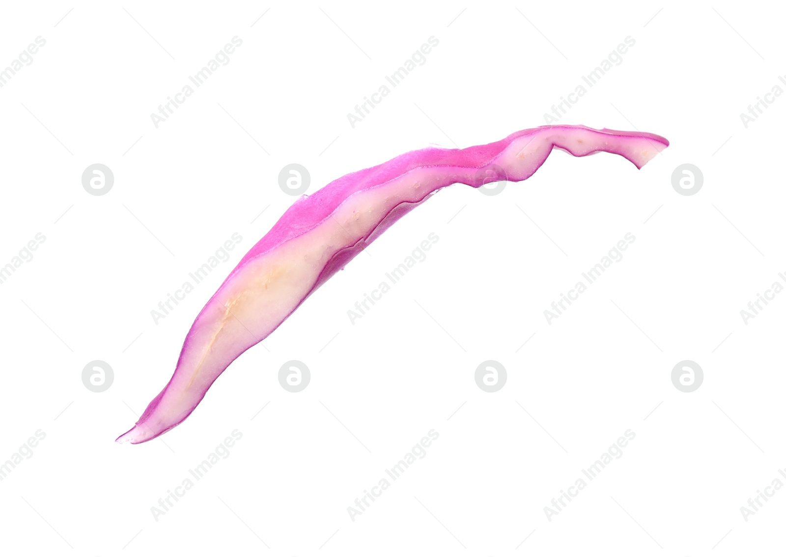 One slice of fresh red cabbage isolated on white Photo of One slice of fresh red cabbage isolated on white