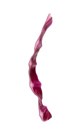 Photo of One slice of fresh red cabbage isolated on white