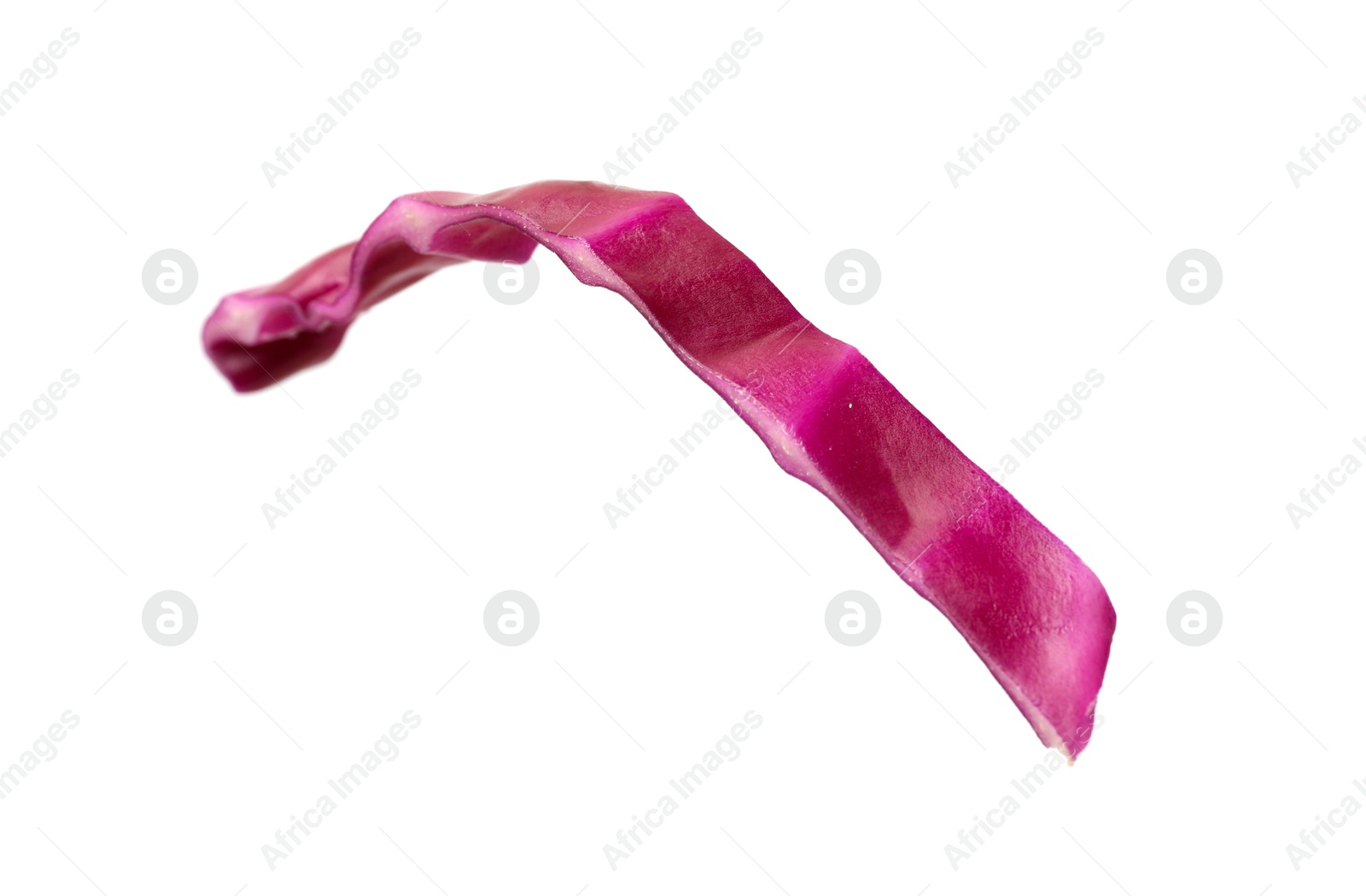 One slice of fresh red cabbage isolated on white Photo of One slice of fresh red cabbage isolated on white